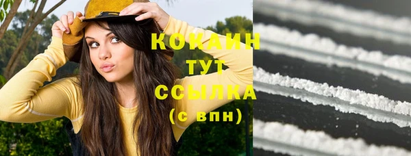 твердый Алексин