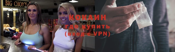 твердый Алексин