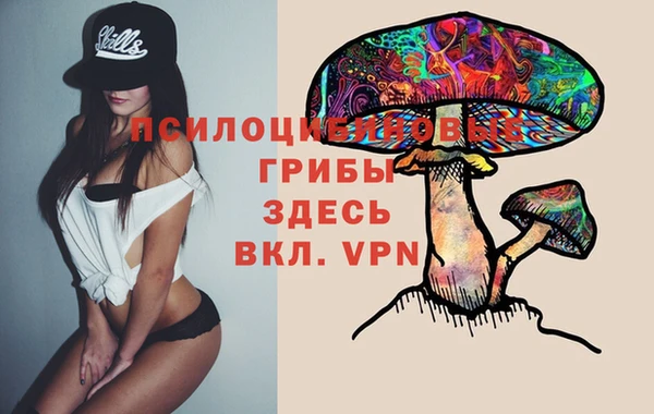 стафф Алзамай