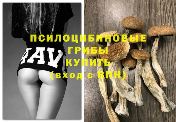 твердый Алексин